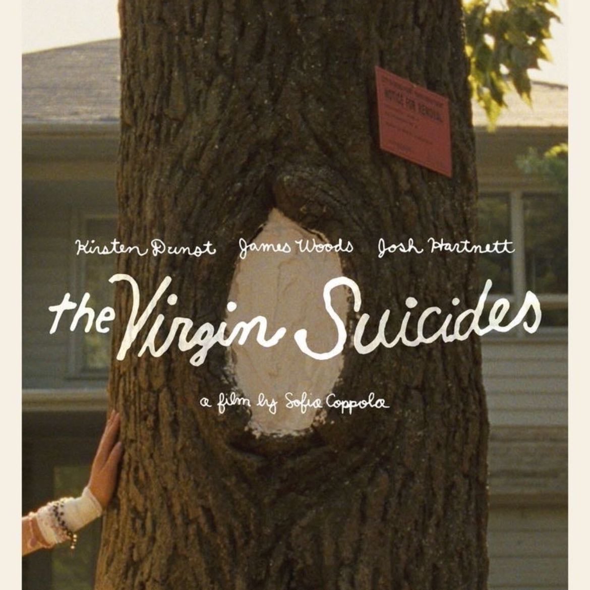The Virgin Suicides - Sofia Coppola · 2000