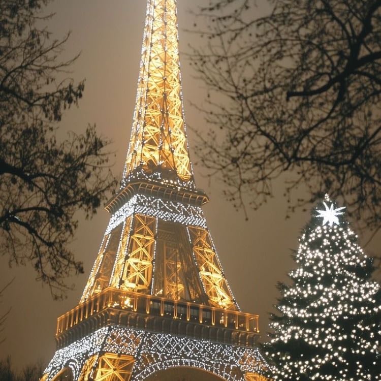 Paris - Illuminations on the Champs-Élysées, animated department store windows, Christmas markets in the Tuileries and La Défense.