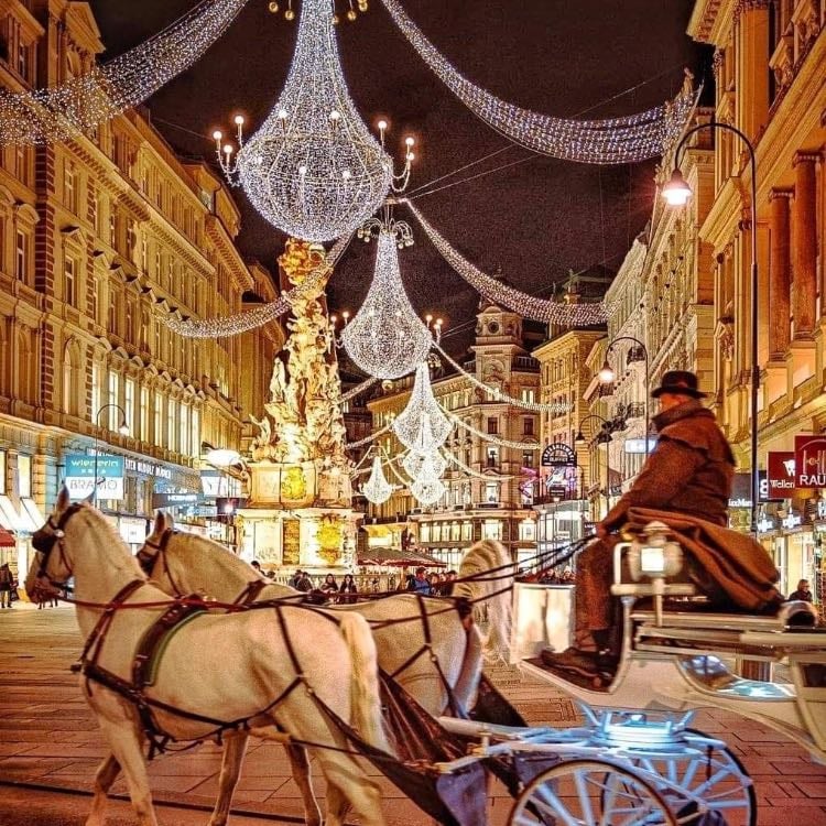 Vienne - Imperial markets, classical music, illuminated palaces and mulled wine under the snowflakes.