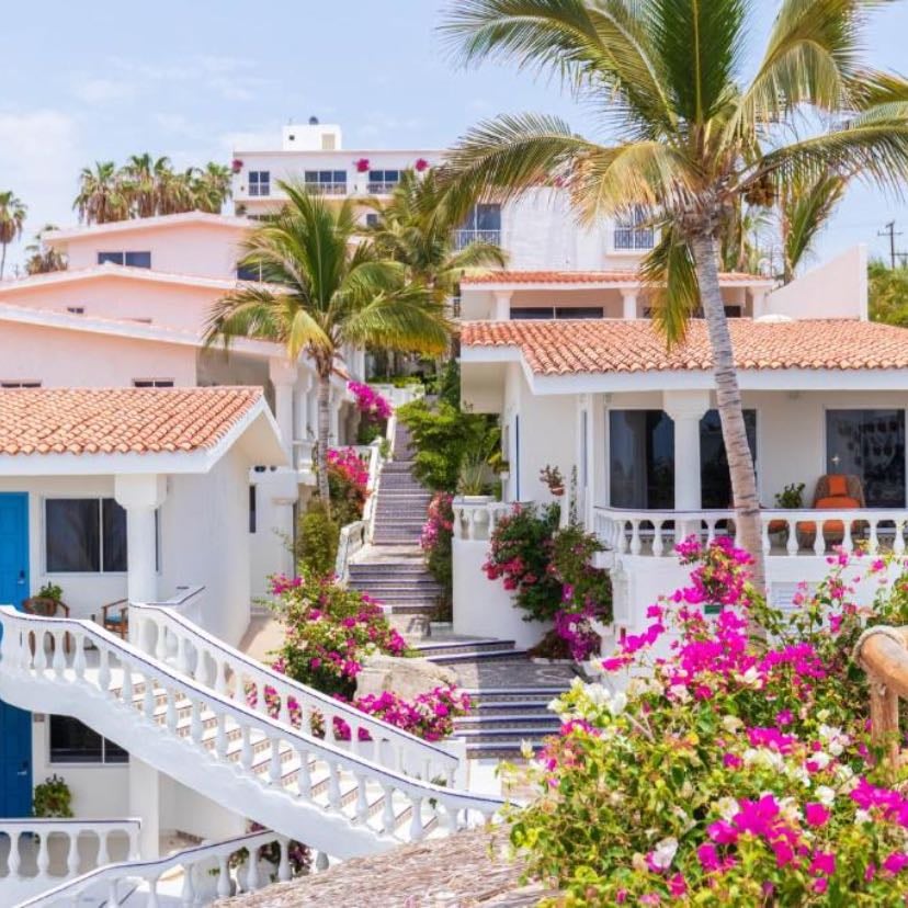 Mar del Cabo - En Los Cabos
