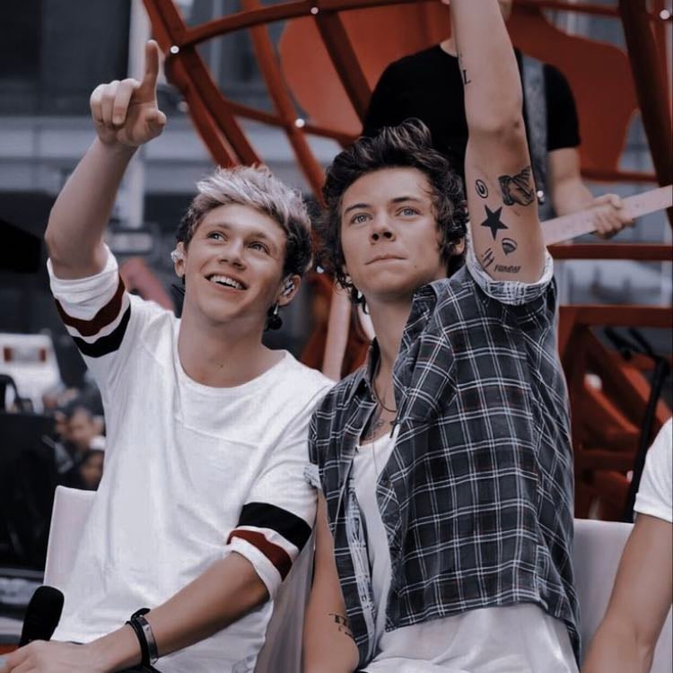 Niall and Harry - 3)I think that Narry will always be in my top three bc there friendship is the funniest thing I’ve ever seen they never fail to make me laugh✨🫶