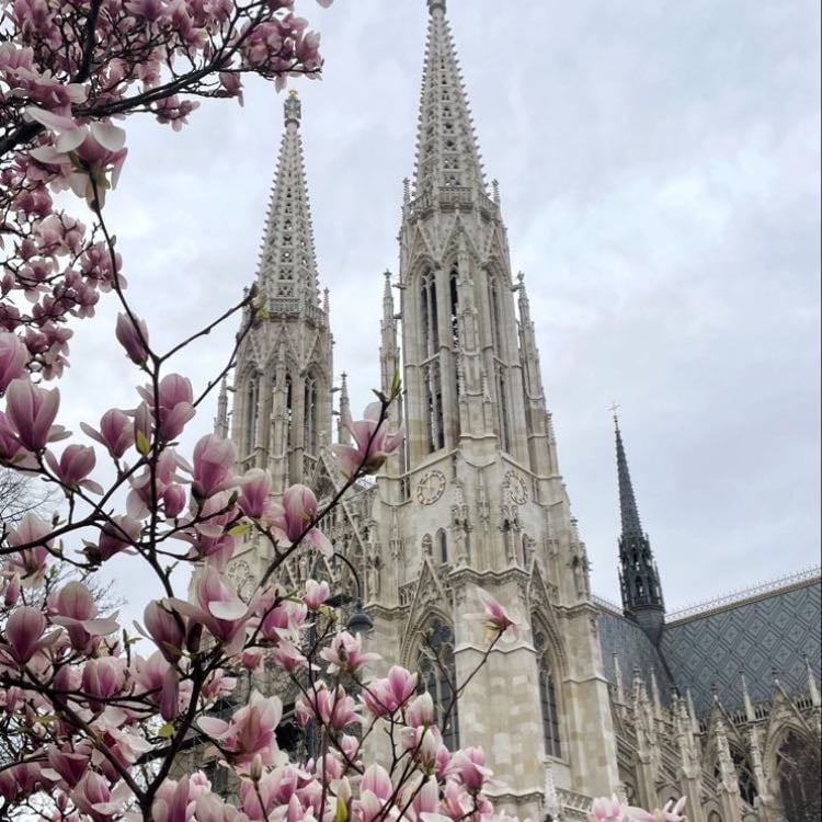 Vienna