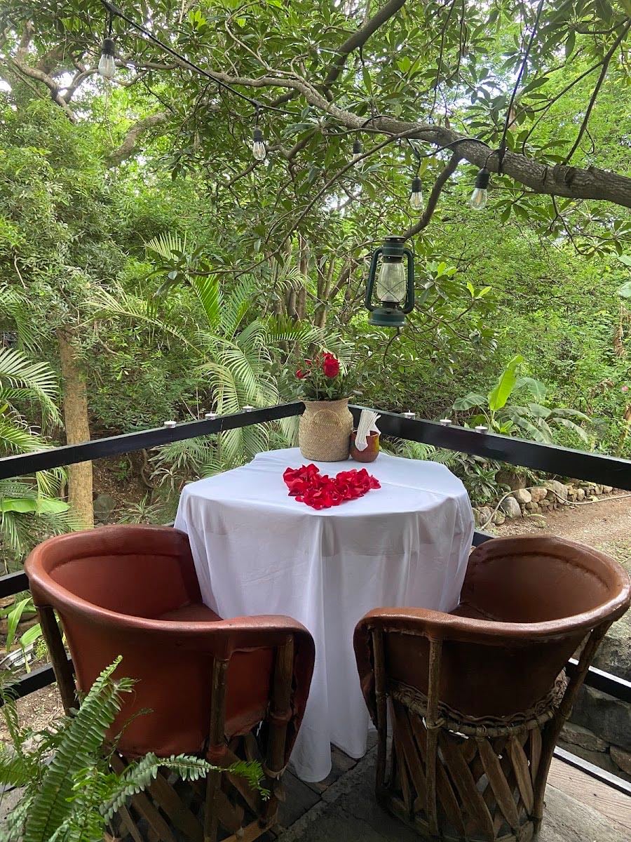 Café-bar Colibrí