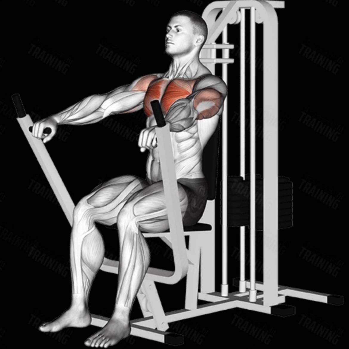 chest press