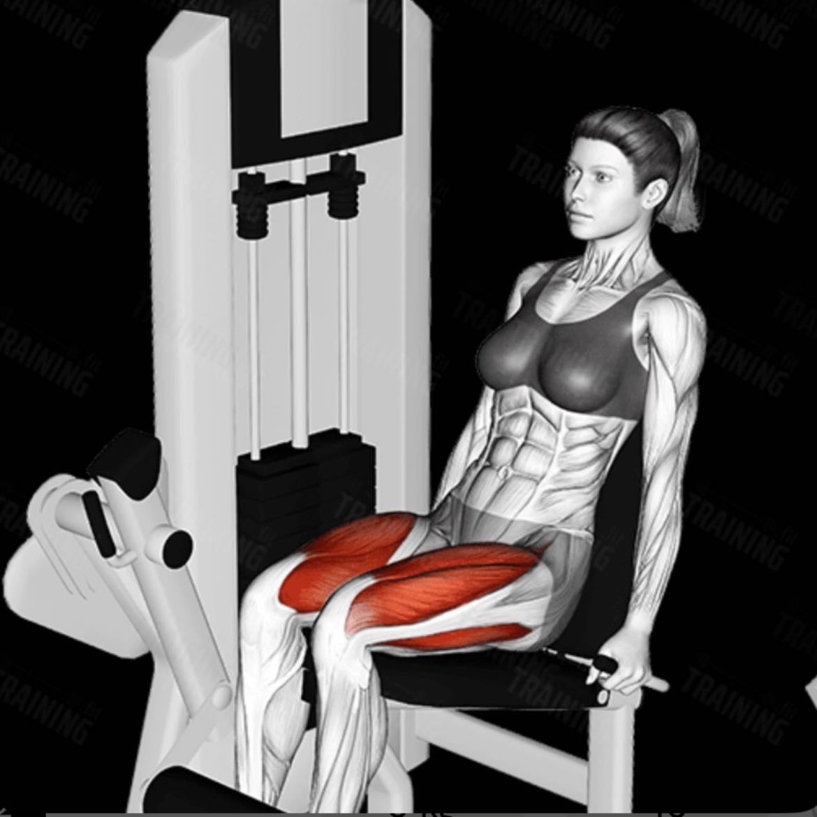 leg extensions