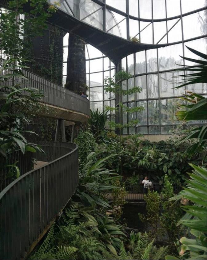 Jardín botánico y tropicario