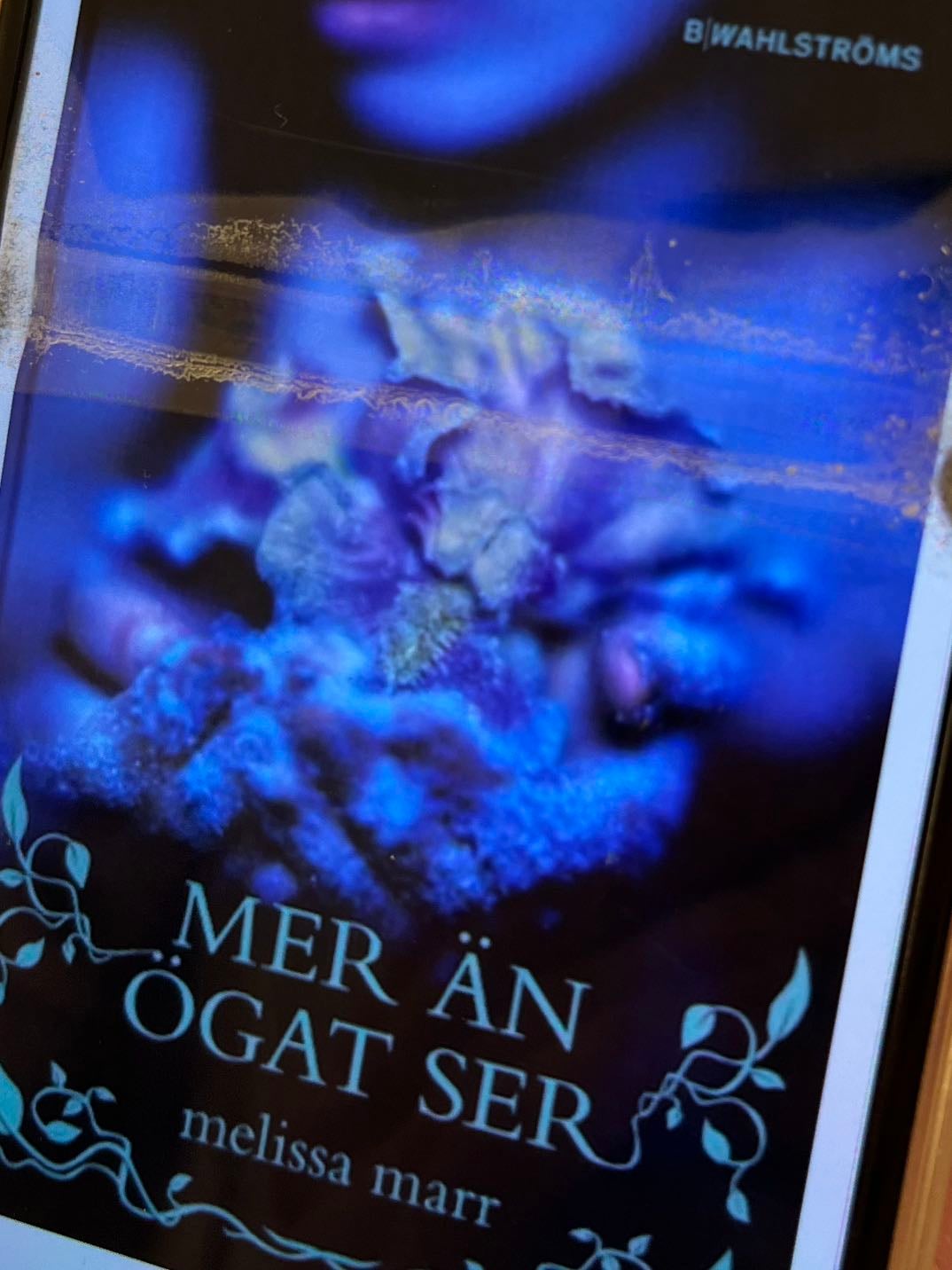 Mer än ögat ser - Melissa Marr · 2008