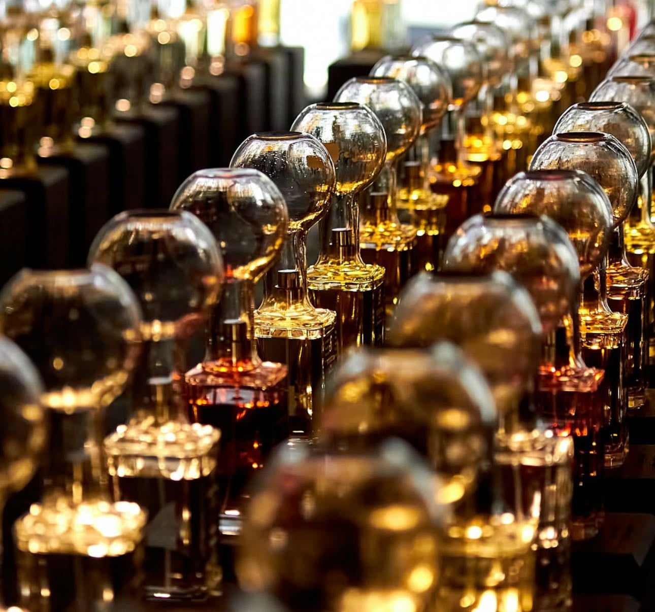 Perfumes - Products hypelist by Mey