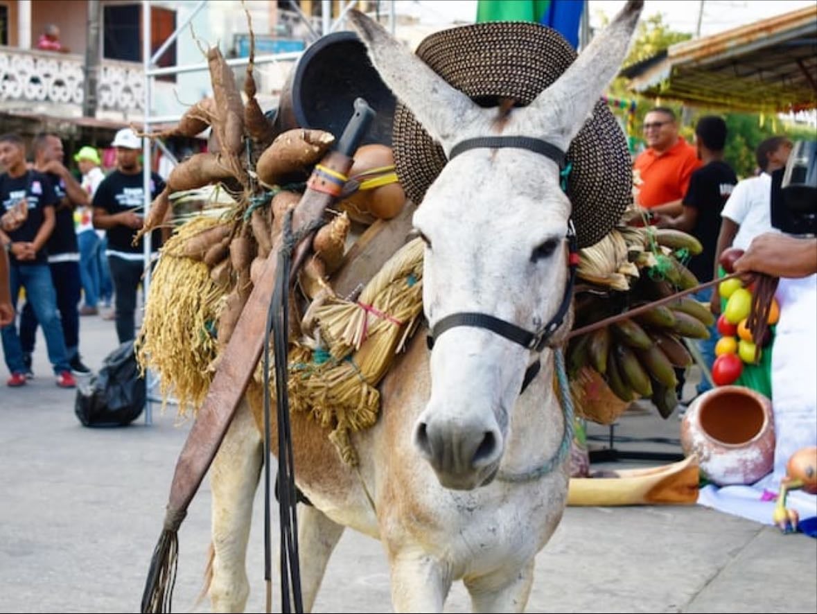 Festival Nacional del Burro