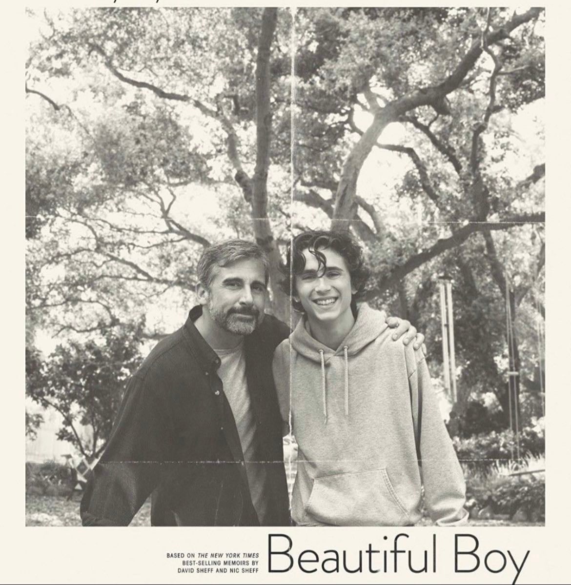 Beautiful Boy - Felix van Groeningen · 2018