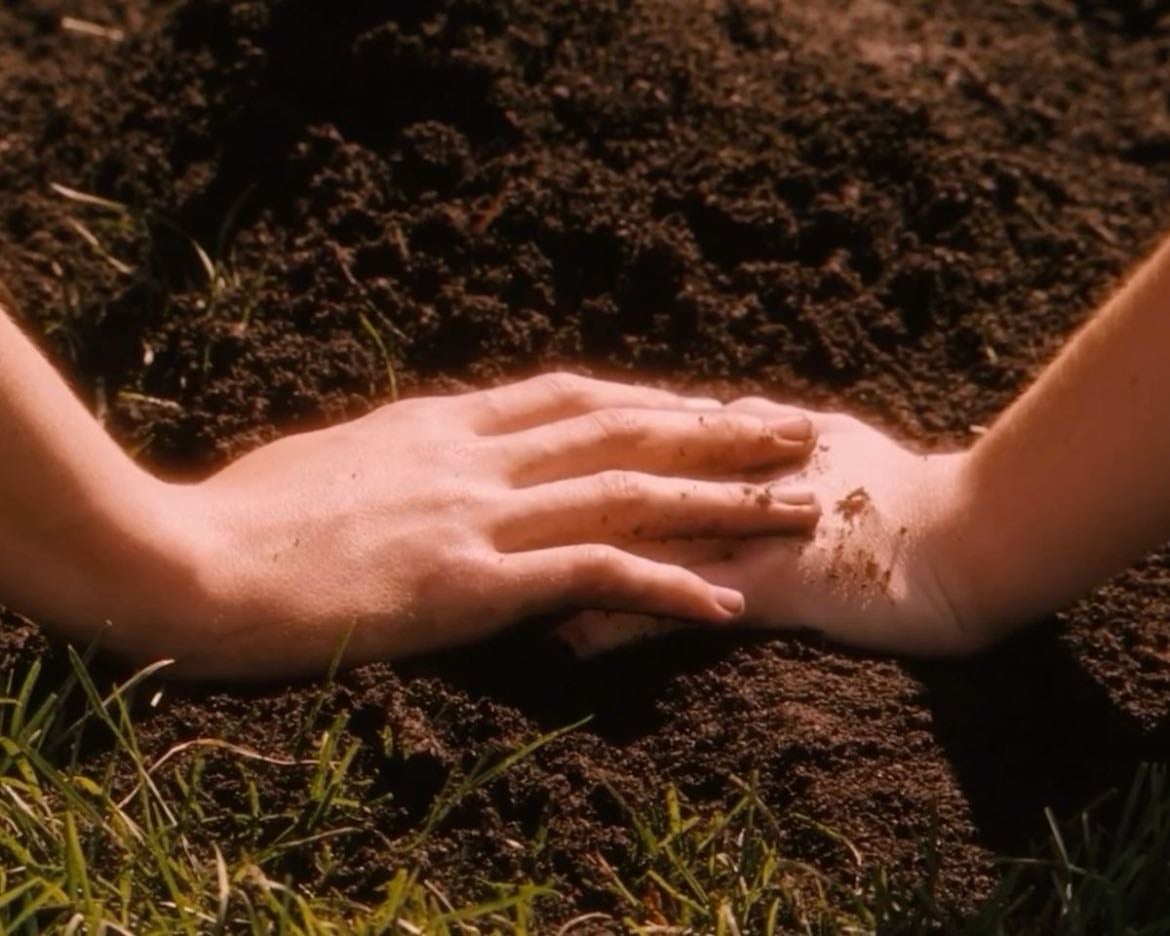Flipped - Rob Reiner · 2010