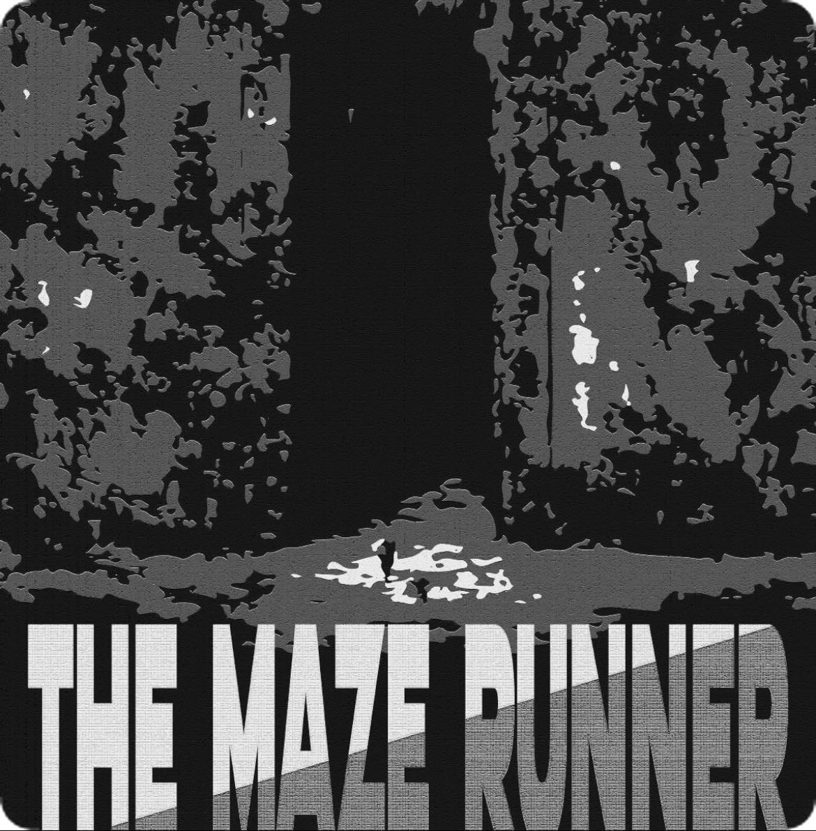 The Maze Runner - Wes Ball · 2014