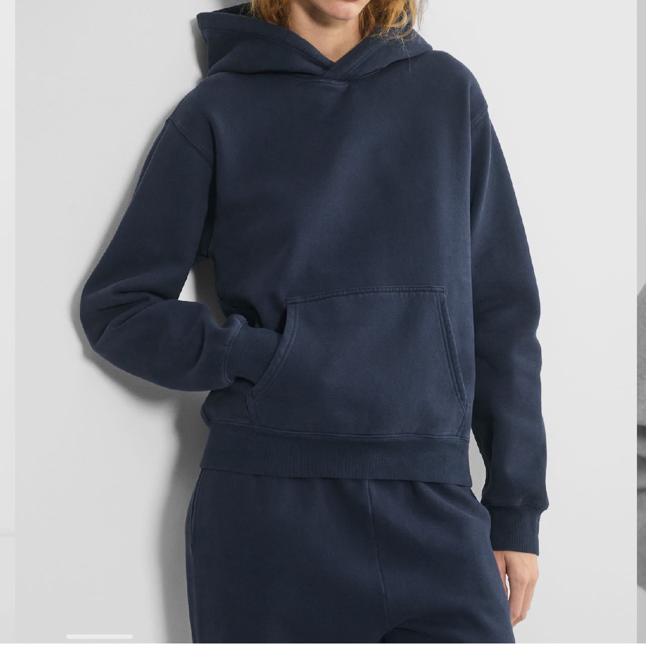 cozy sweatfleece hoodie - aritzia $80 colour: faded admiral