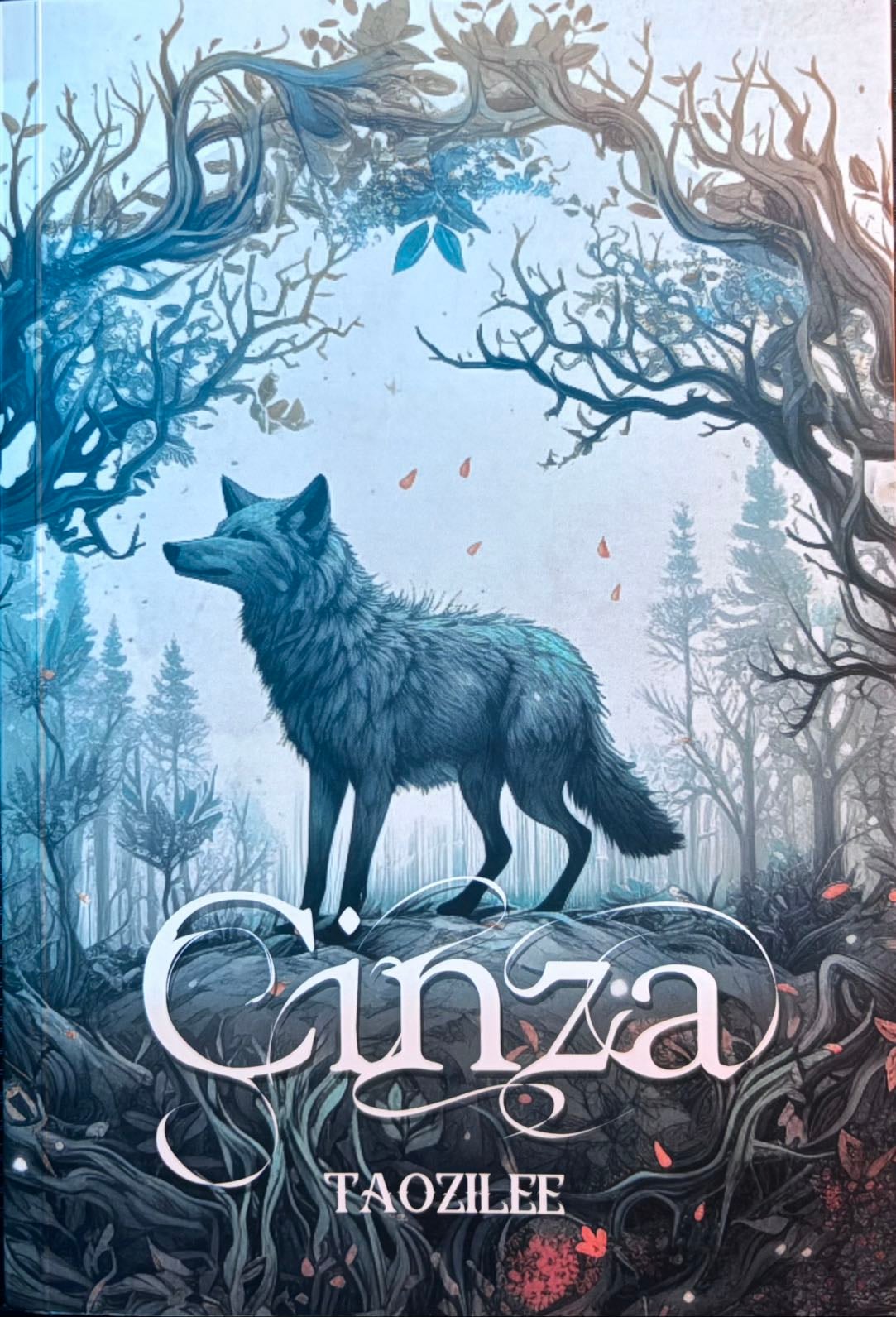 Cinza - taozilee