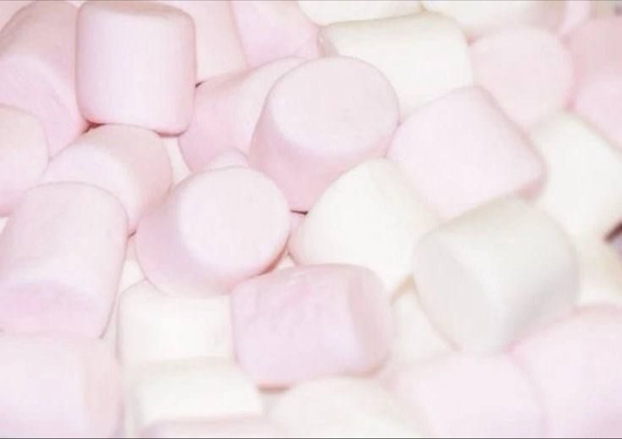 𝓷, tres. - @/magicbeans98