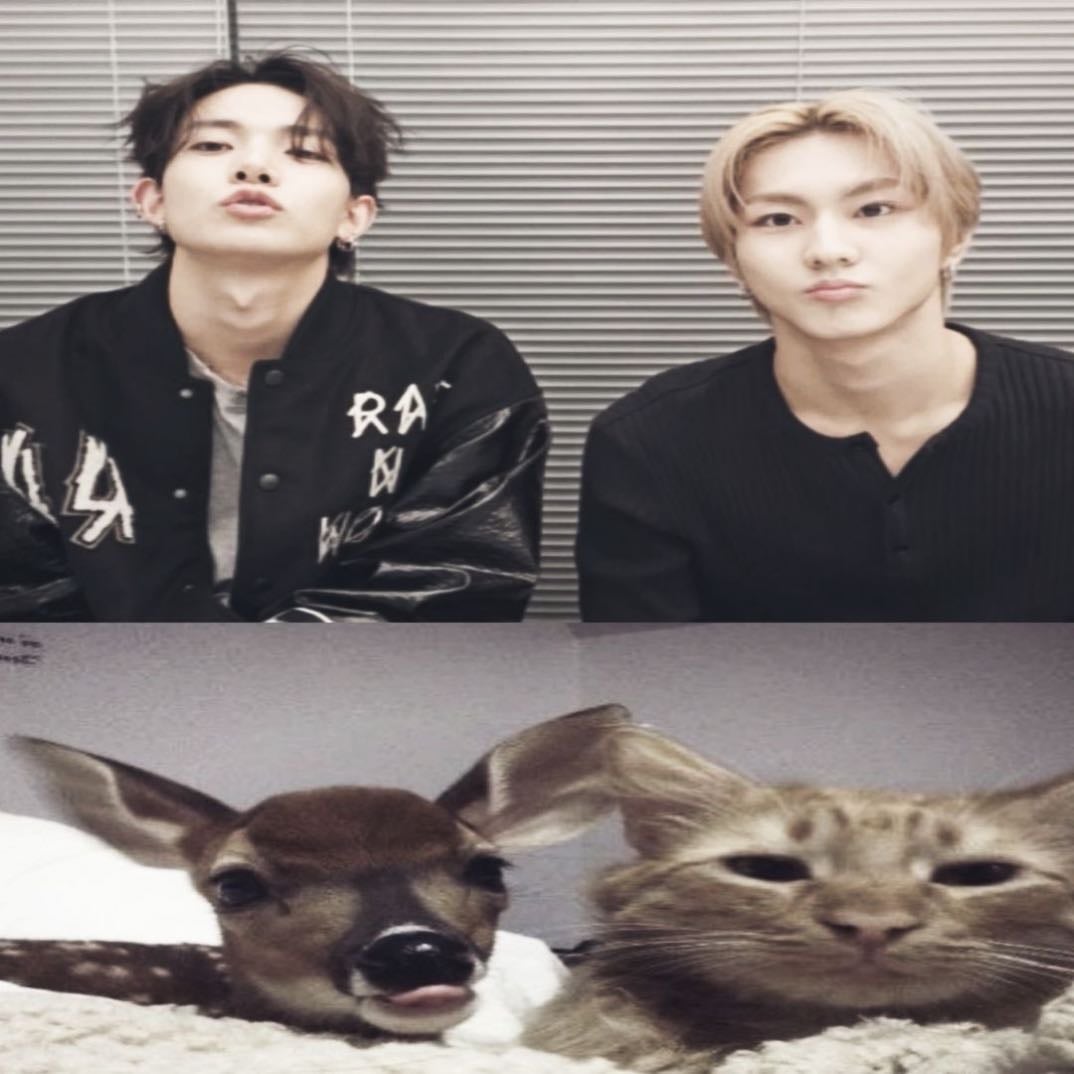 Jungwon and Heesung - ENHYPEN