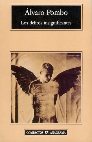 Los delitos insignificantes - Álvaro Pombo · 2002