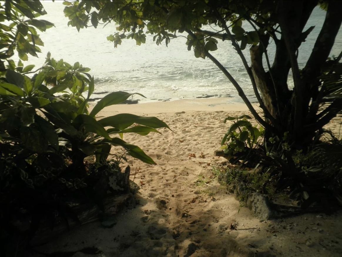 beach