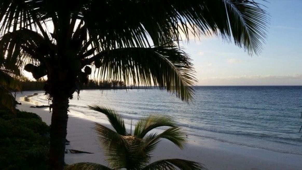 tropical