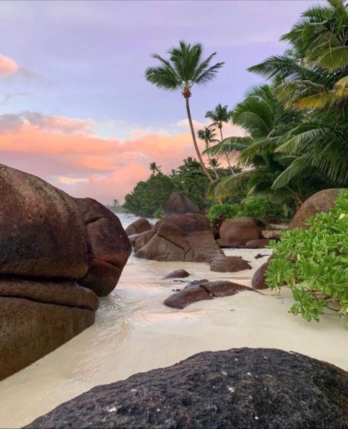tropical beach