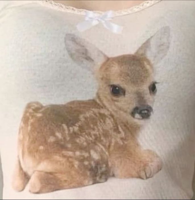 𓏲ꪆ 𝒹𝒸 𝒶𝓃𝒹 𝓂𝒶𝓇𝓋ℯ𝓁 🧸 .°❀.ᐟ