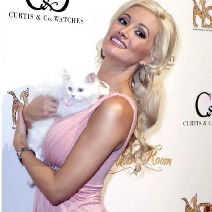 @hollymadison 𓏲🧸 - — 46 ⋆˚࿔