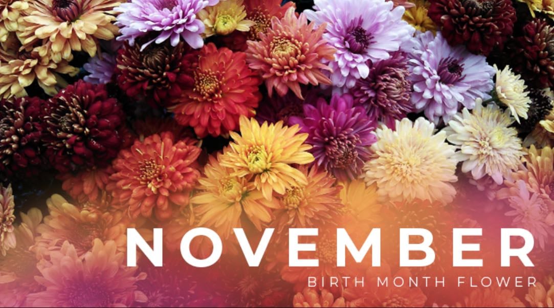 november