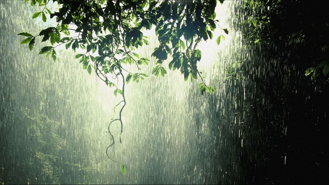 march 1, 2026 - “you can hold an umbrella, but youd still be exposed to the rain.”