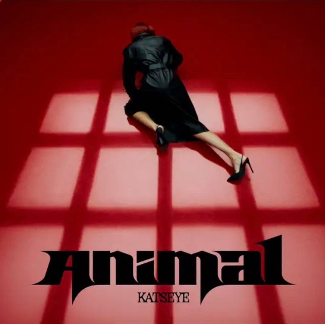 Animal - Song · KATSEYE