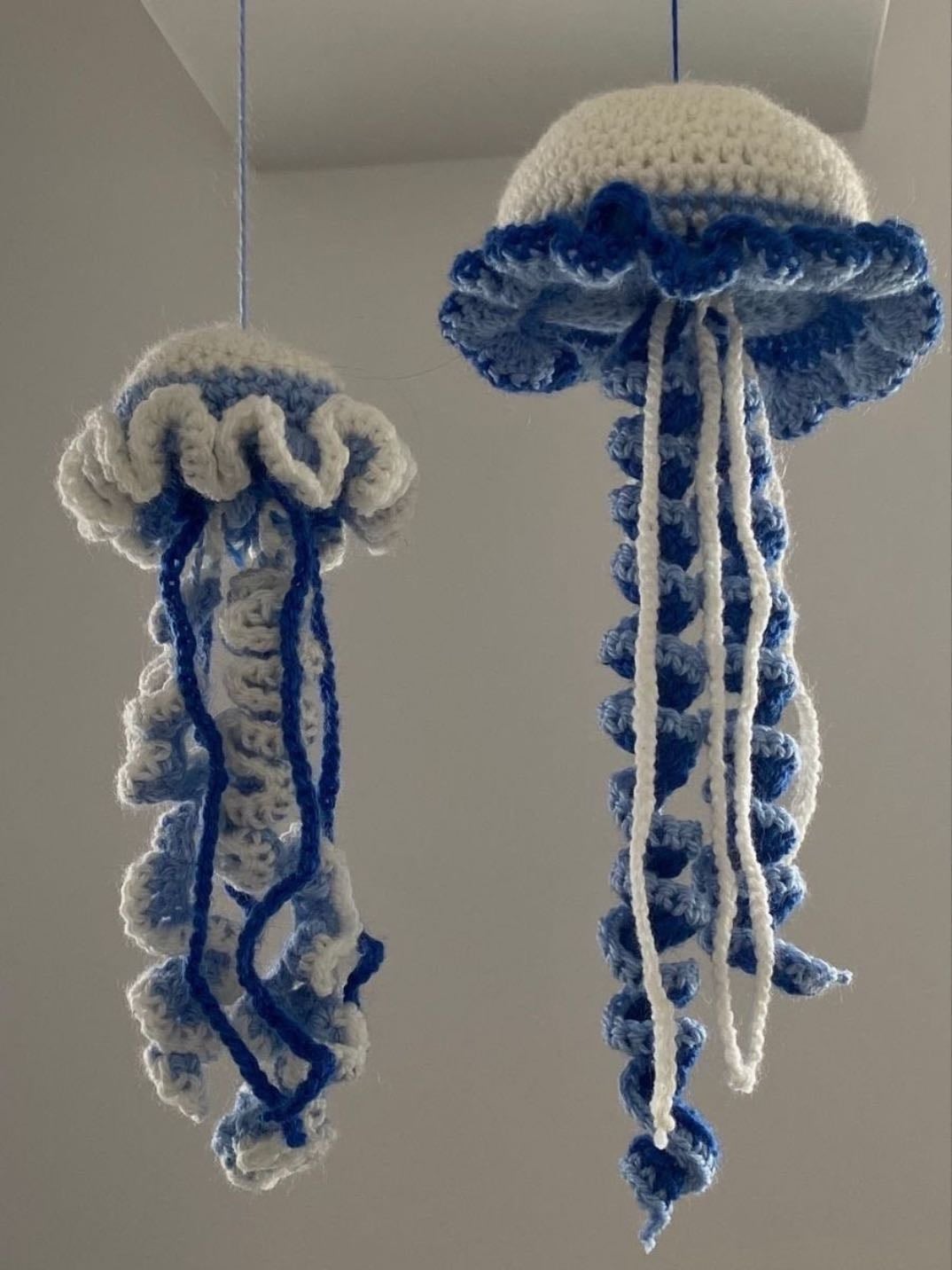 Jellyfish