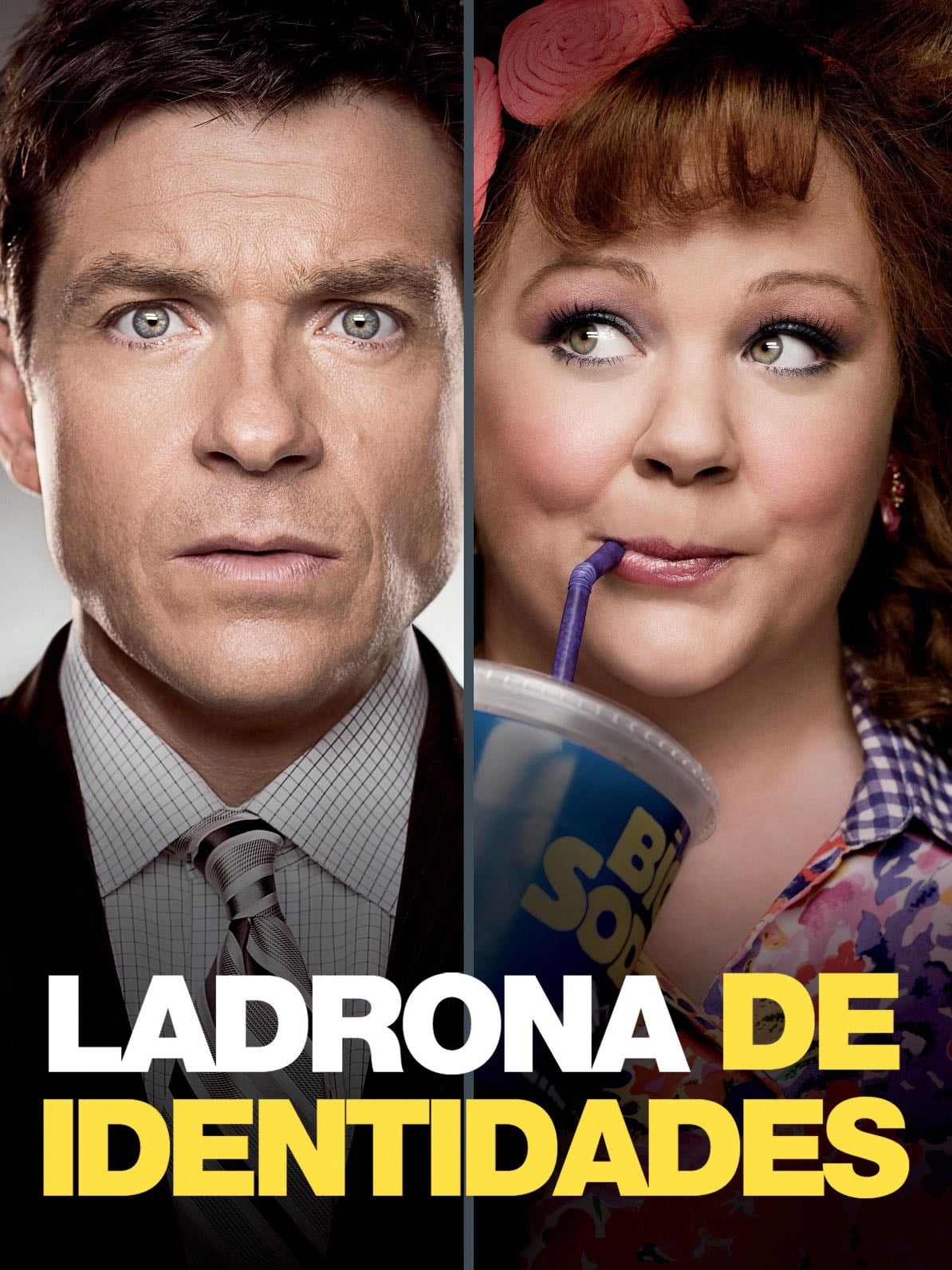 Ladrona de identidades - Seth Gordon · 2013