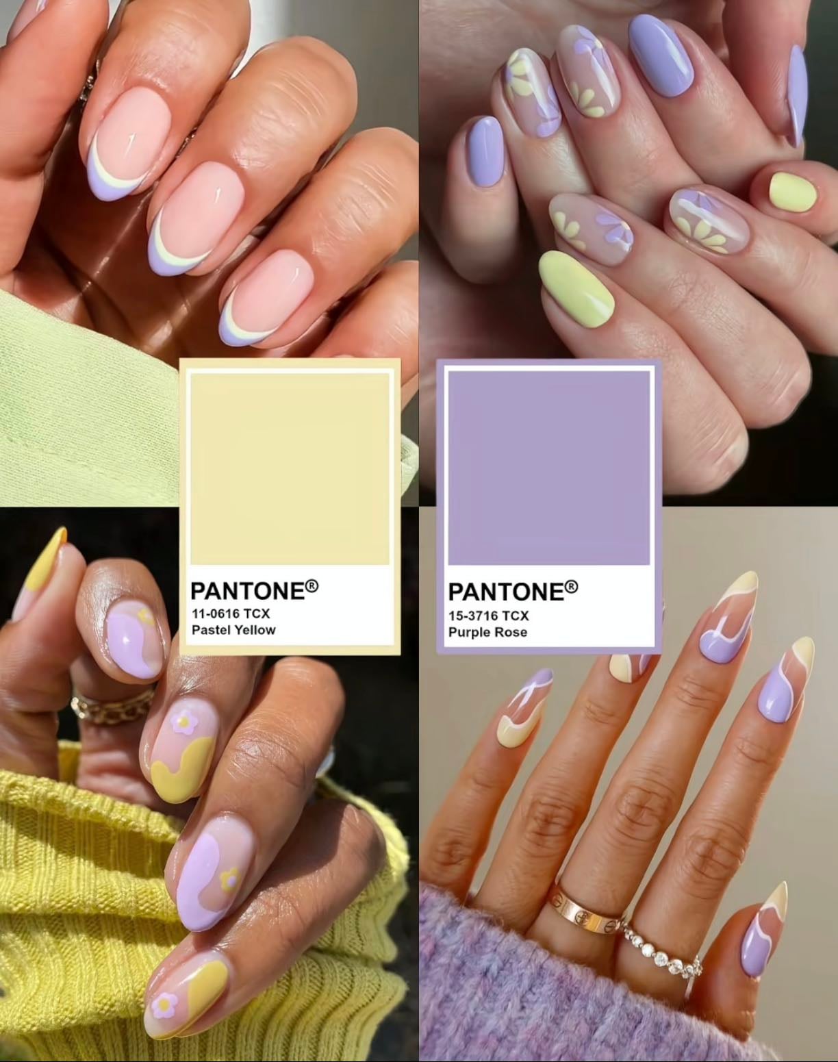#6 - Amarillo y morado