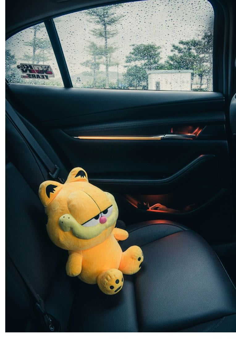 What The Internet Did To Garfield