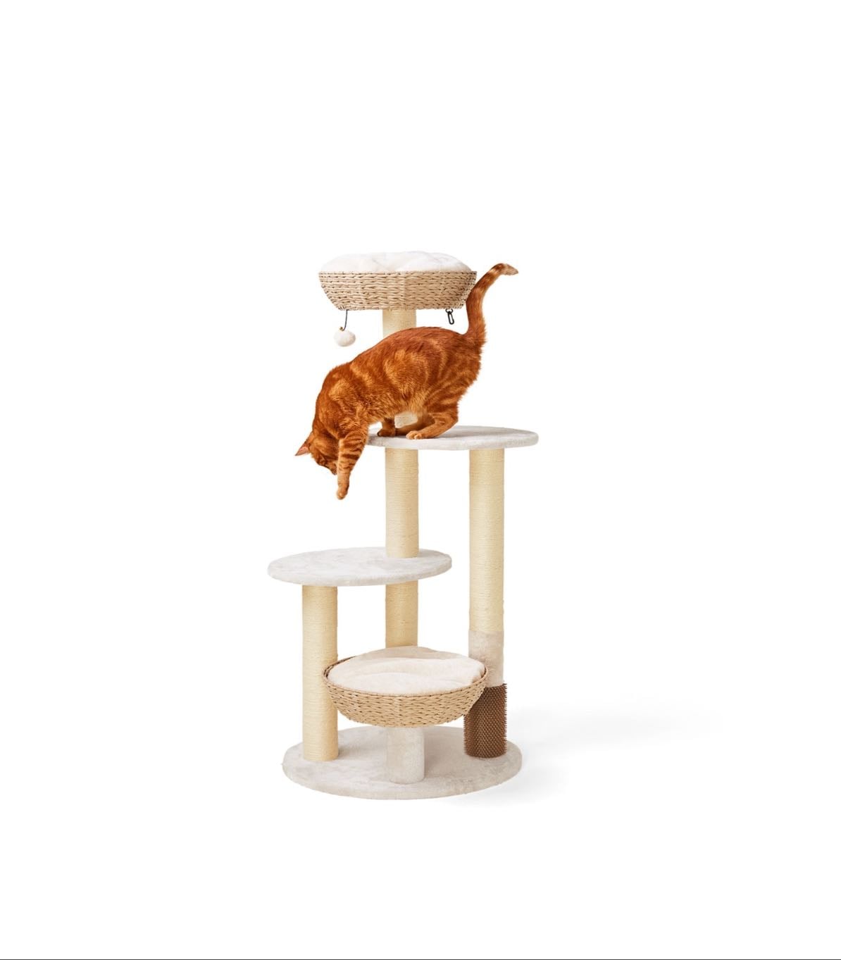 Arbre à chat