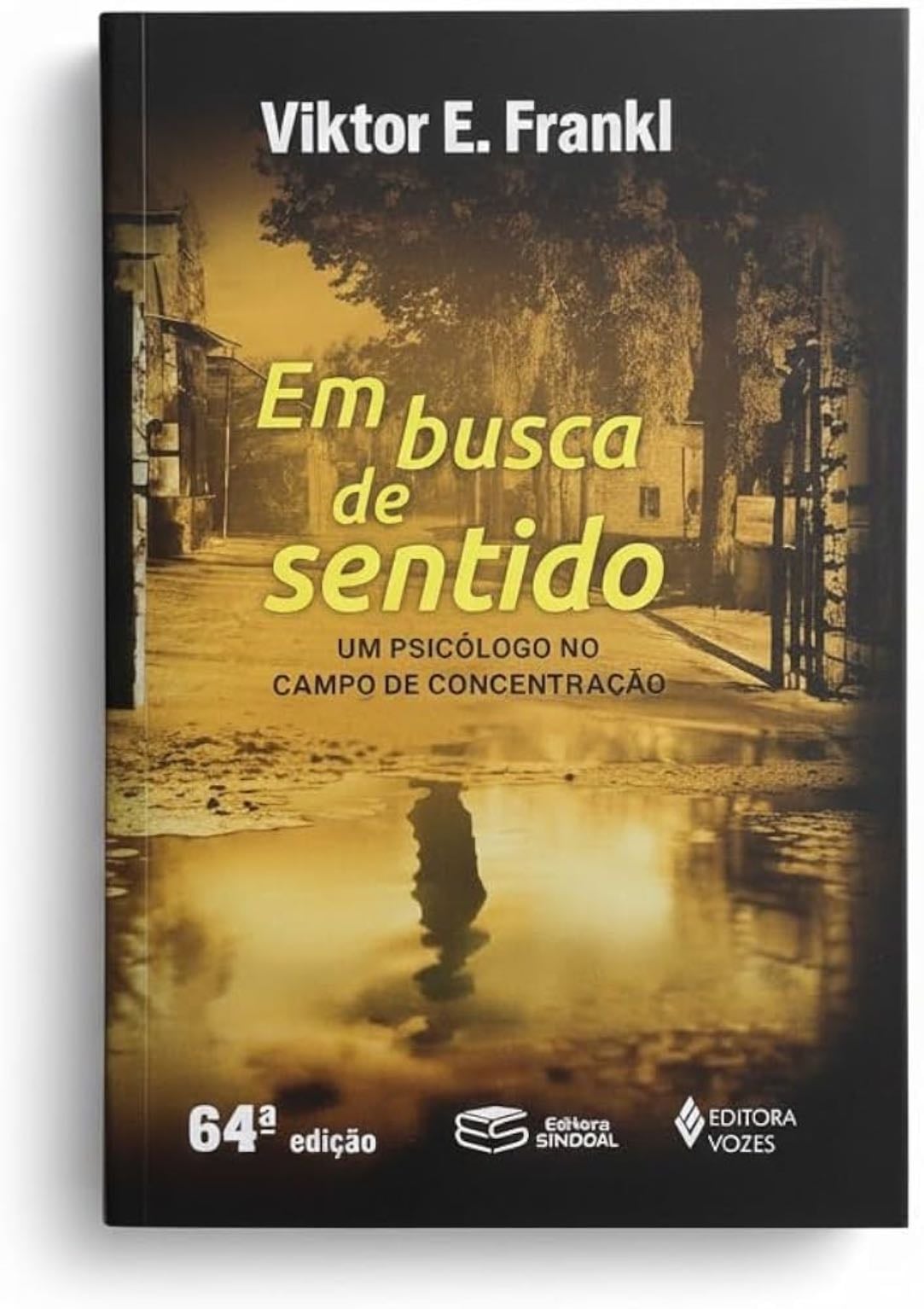 em busca de sentido