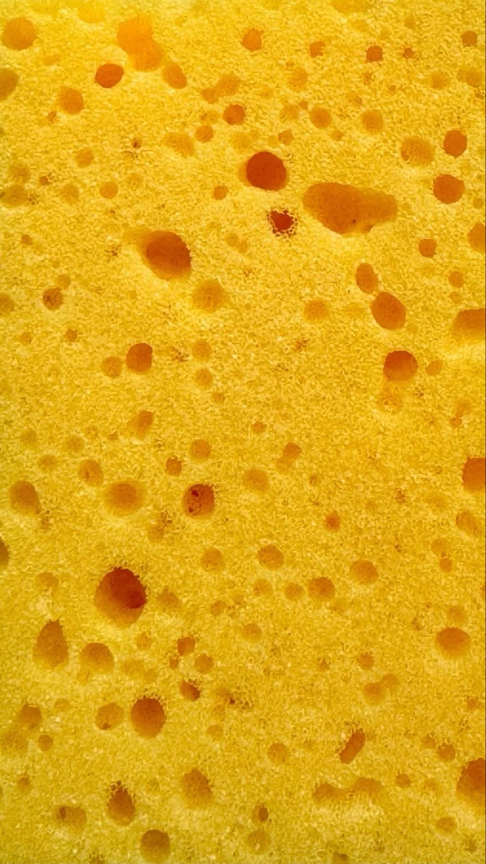 Sponge