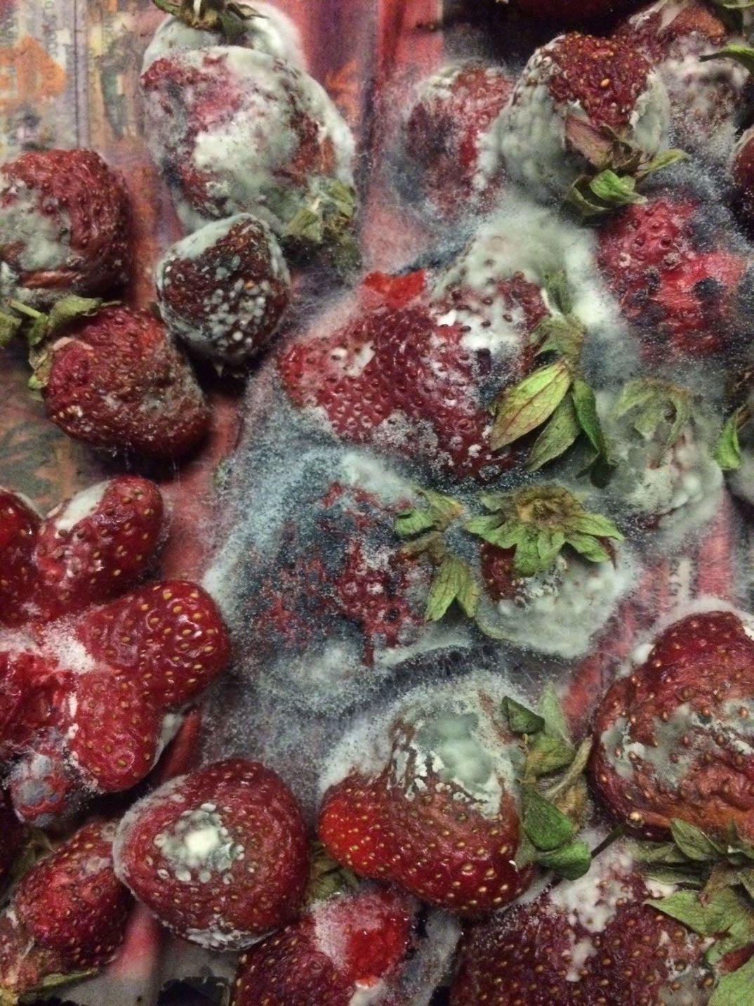 Mouldy strawberries