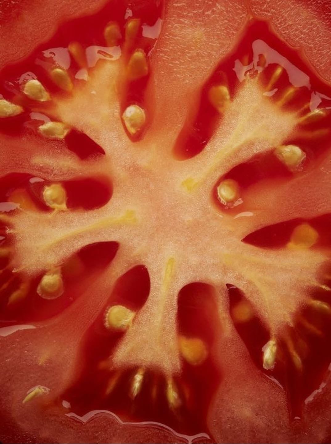 Tomato