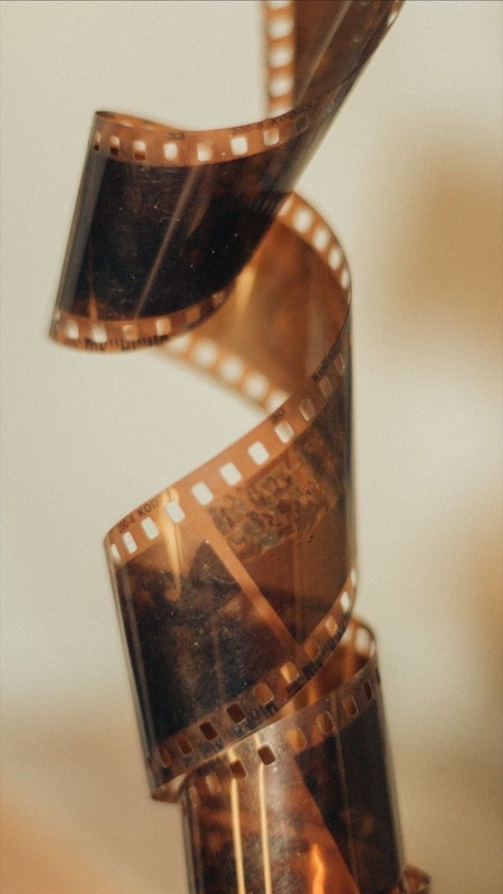 Film Strip