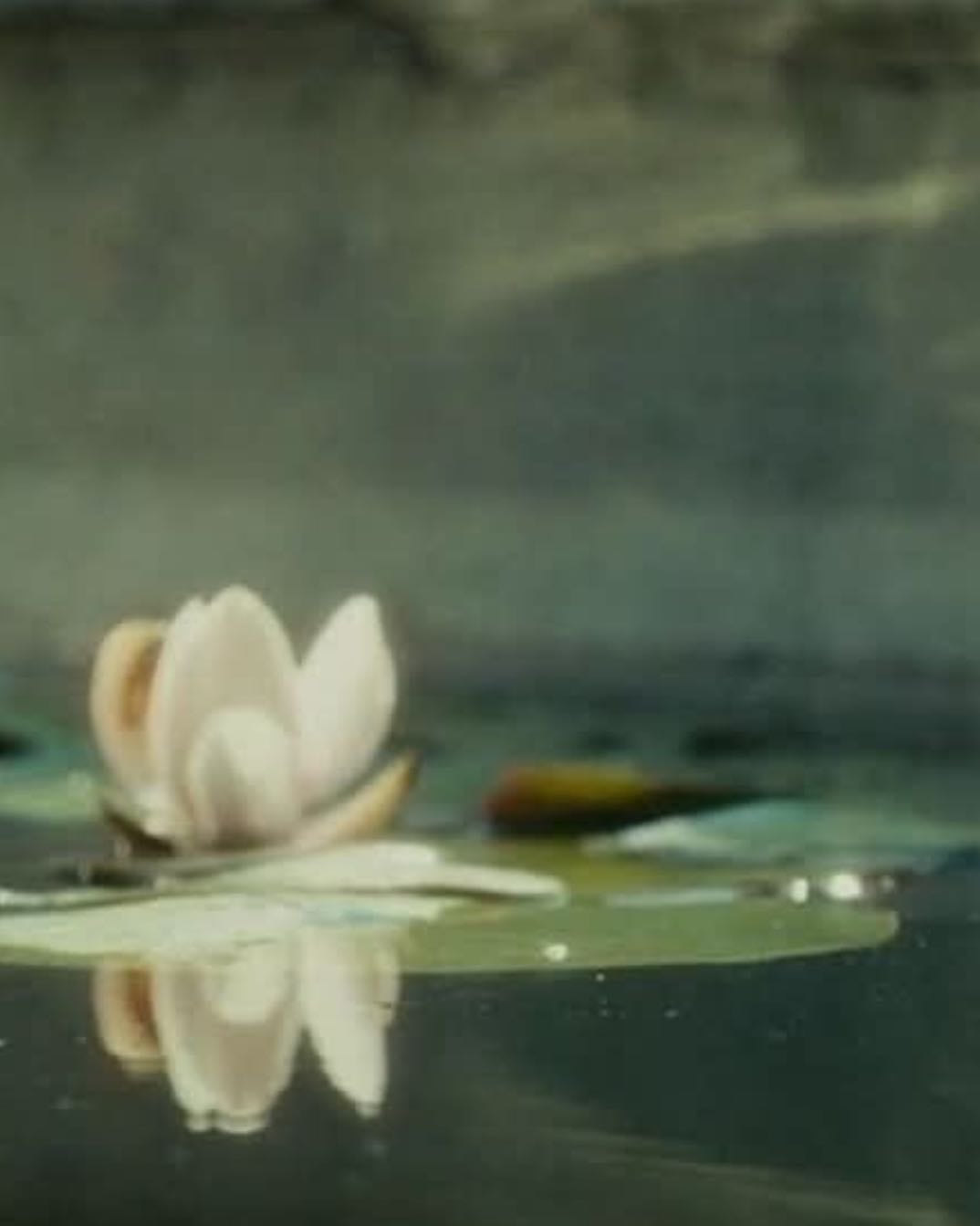 The Last of the Mohicans - Michael Mann · 1992