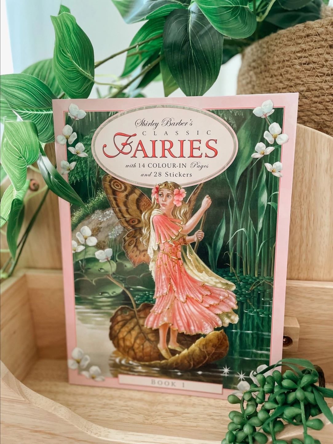 Shirley Barber books