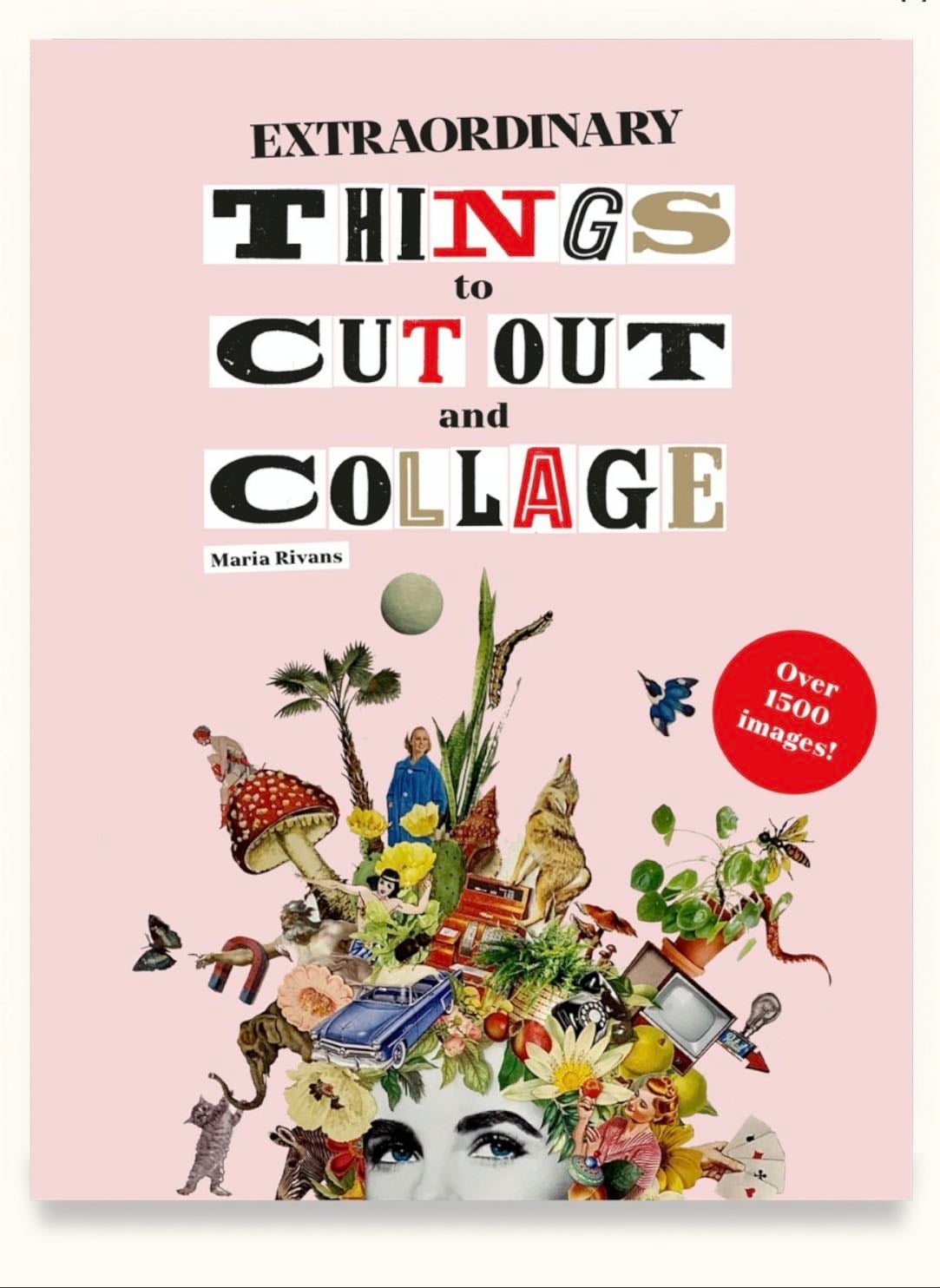 Extraordinary Things to Cut Out and Collage - Maria Rivans