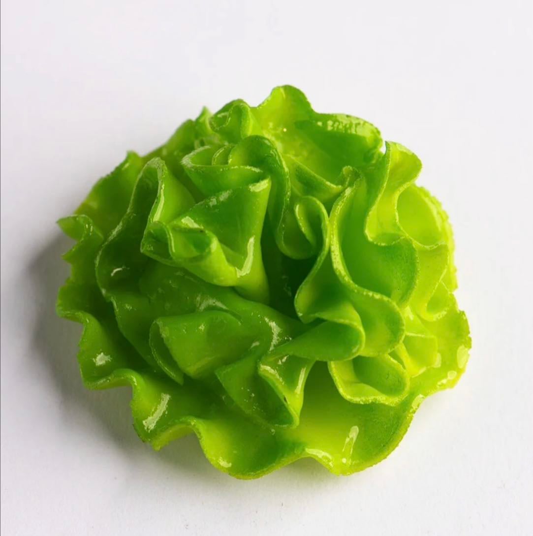 Lettuce Magnet - Weird Magnets