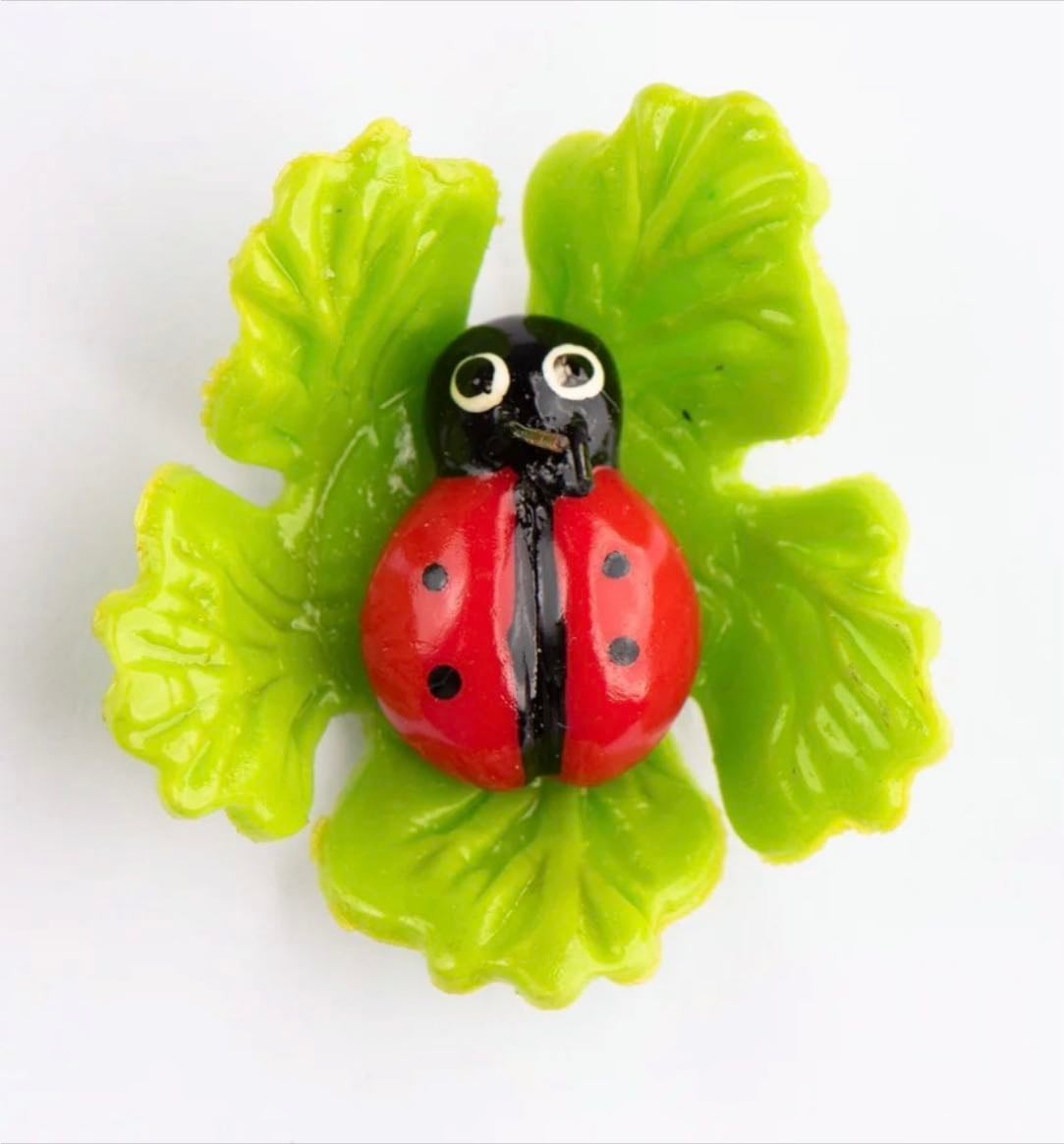 Ladybug on Leaf Magnet - Weird Magnets