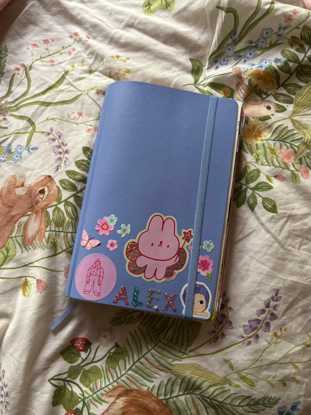 The journal I use - Moleskin Plain Classic Soft Cover Large Notebook