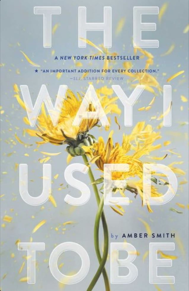 The way I used to be - Amber Smith