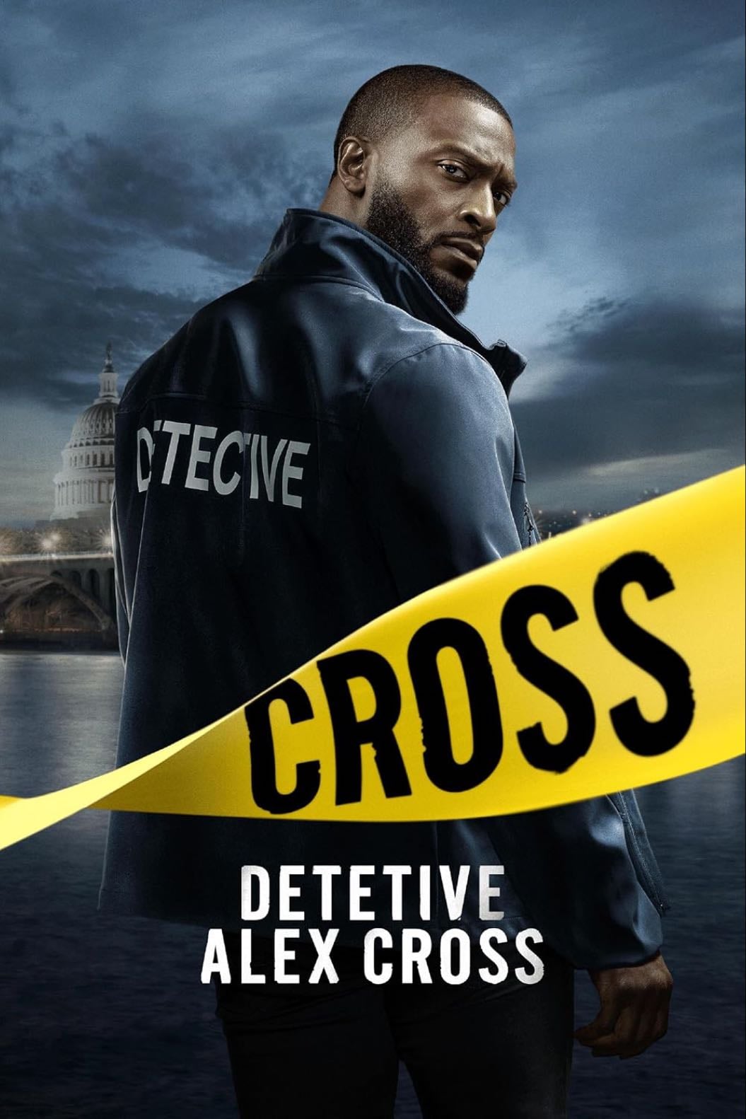 Detective Alex Cross - 2 temporadas • 2024
(36📚)