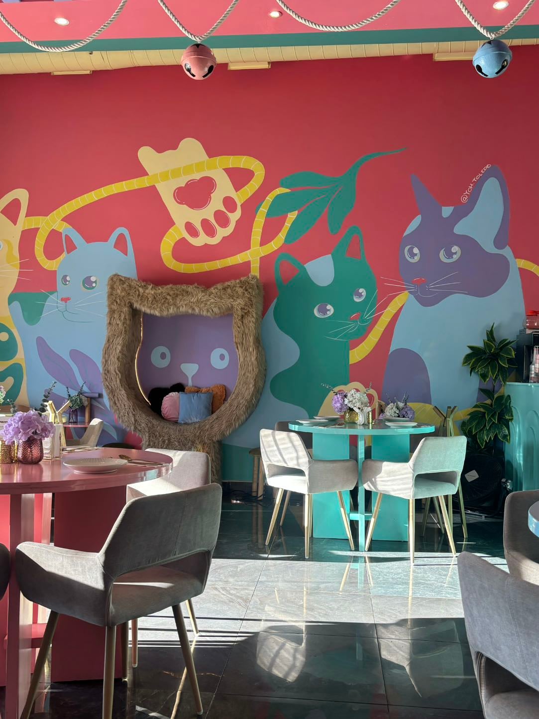 Lola & Lilo Meow Café Brunch & Mimosas