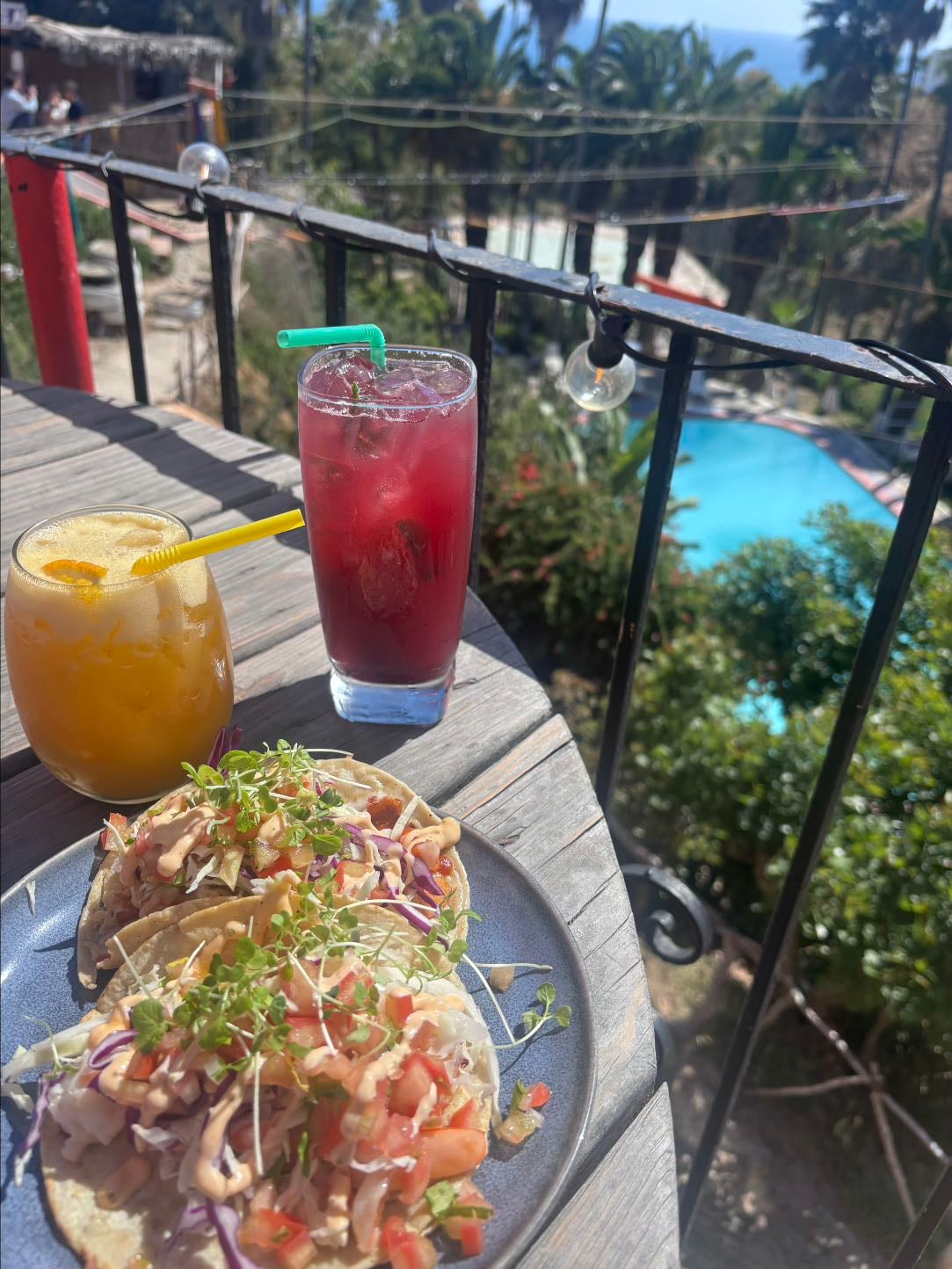 Baja Paradise