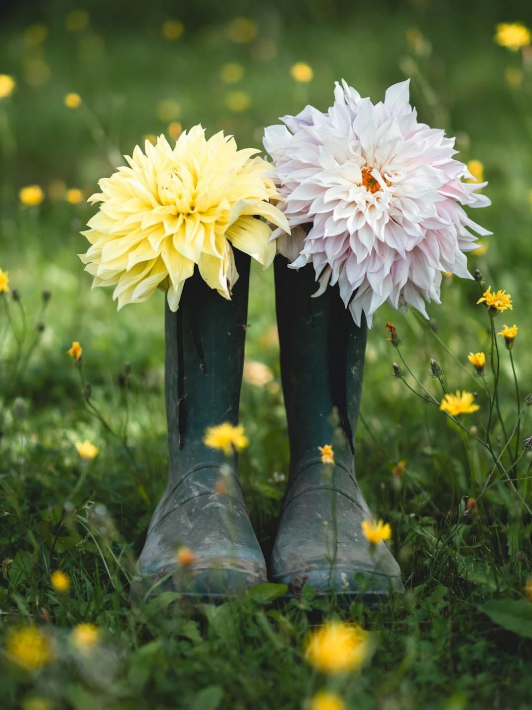 wellies in the rain